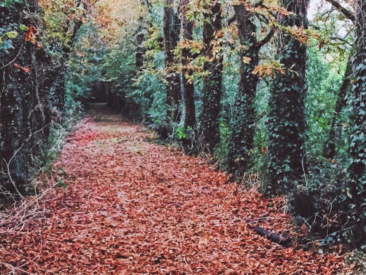 Gites Les Demeures De Valette Azay-le-Brule Exteriér fotografie