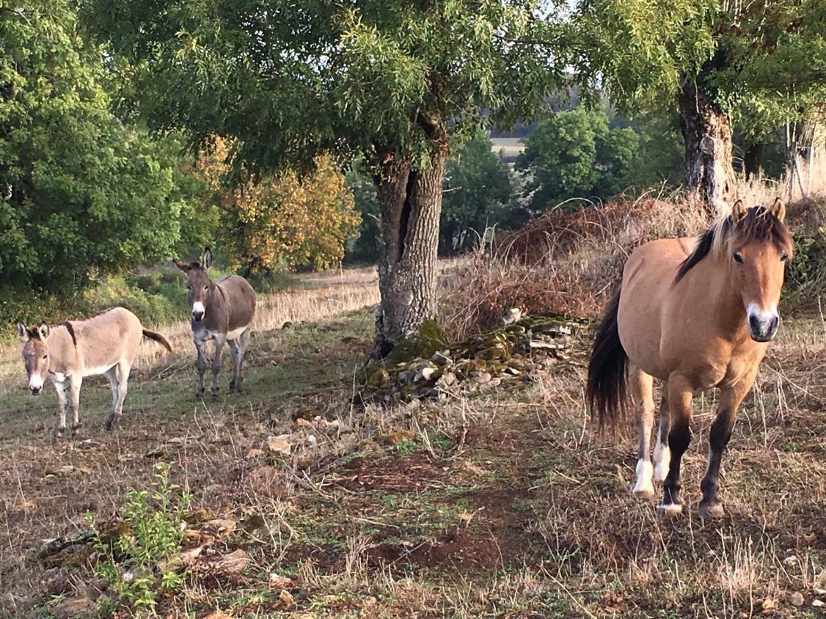 Gites Les Demeures De Valette Azay-le-Brule Exteriér fotografie